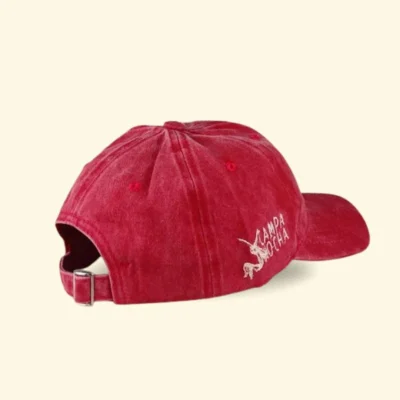 Gorra roja regalo Gorra algodon deslavado