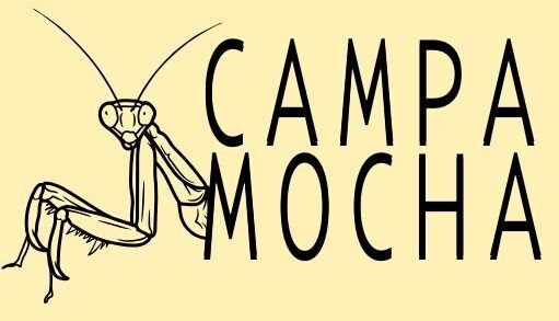 icono campamocha